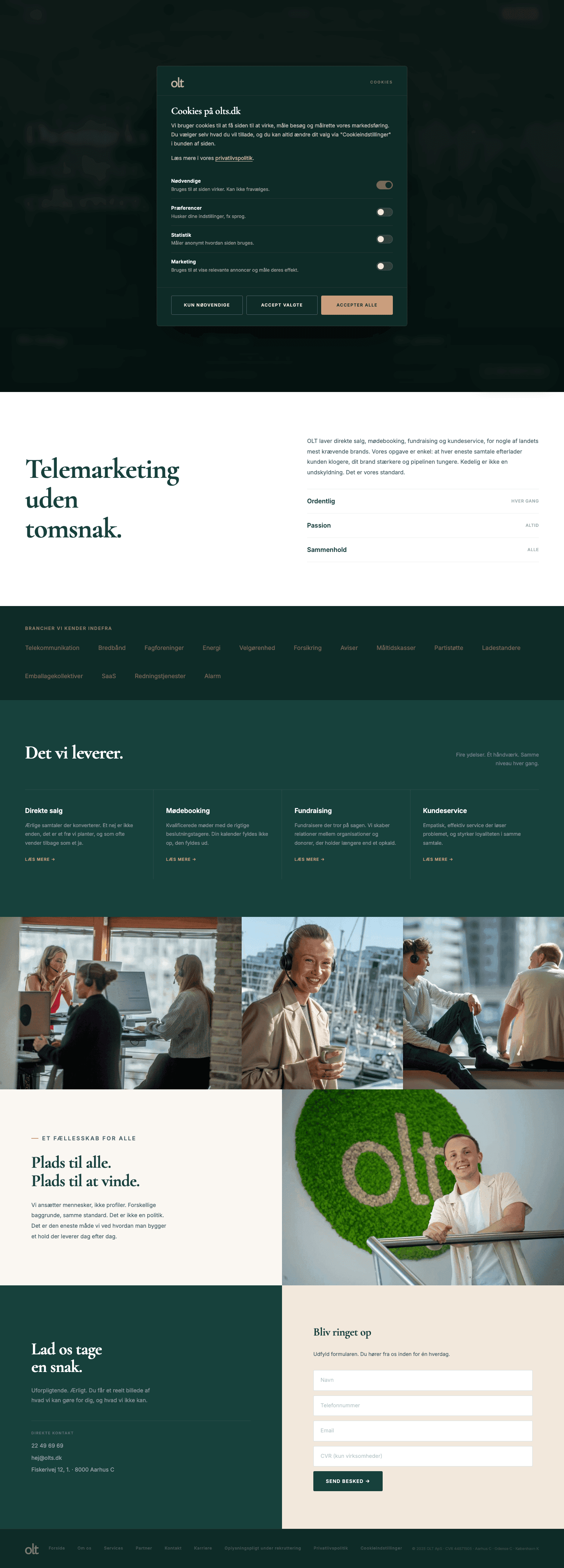 Website desktop showcase